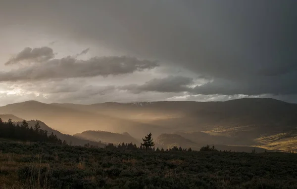 Krajobrazy Yellowstone Latem — Zdjęcie stockowe