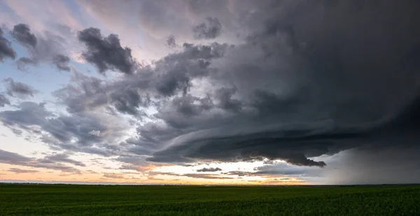 Orage Estival Dans Les Prairies Canadiennes — Photo