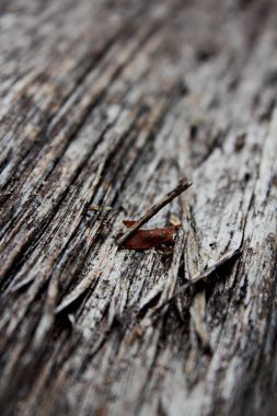 Kesilen odunları ve tahılları kapatın.