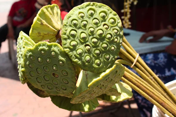 Egzotik çiçekler. Asya, Kuala Lumpur şehrinde