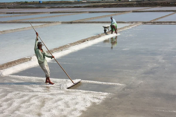 Tuz toplanıyor. Handwork. Vietnam