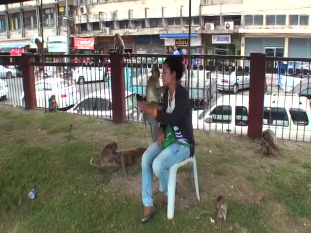 亚洲年轻女子正在和野猴玩耍 洛普武里市 — 图库视频影像