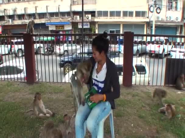 Asian Woman Photographed Monkey Plan Thailand — Stock Video