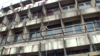 Vahşi makak elektrik kablosundan geçer. Uzak bir plan. Tayland