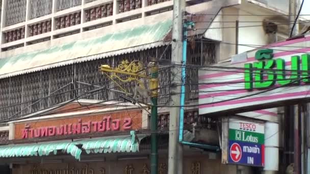 Macaco Selvagem Está Andando Longo Fios Elétricos Rua Tailândia — Vídeo de Stock