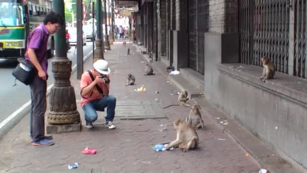 アジアの男性観光客 道路上の野生の猿を撮影します — ストック動画