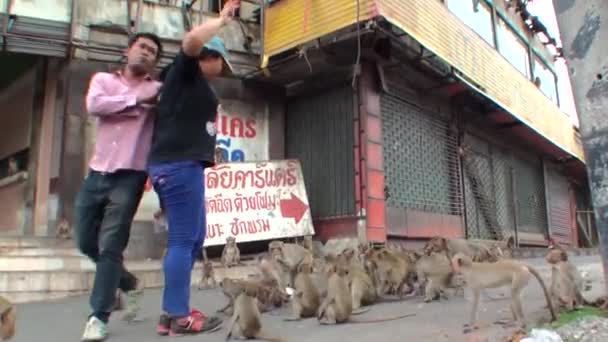 Una Joven Pareja Tailandesa Alimenta Rebaño Monos Salvajes Tailandia — Vídeo de stock