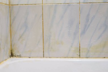 Banyodaki banyo kiremitleri üzerinde büyüyen siyah küf. Banyodaki kiremitler üzerinde parazit oluşturan bir mantar türü..