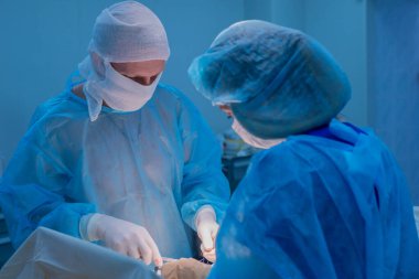 Çocuk cerrahları ürolojik ameliyatlar yapar. Maskeli bir adam ve bir kadın ve ameliyat odasında mavi steril bir ceket. Bir cerrah ekibi bir operasyon yürütüyor. Kasık fıtığı tedavisi, testis ödemi, testis hastalığı, varyasyon