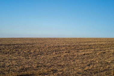Buğday tarlası, hasattan sonra boş tarla. Mavi - sarı manzara, tarla ve gökyüzü. Mavi gökyüzü, güneş ve bulutlarla kaplı Horizon buğday tarlası. Güzel doğa.