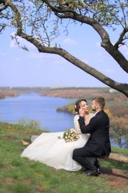 Damadın genç çifti, gelinle öpüşüyor, sarılıyor, doğal bir arka planda. Yaz düğünü. Sevecen bir çift, bir düğün töreni, 25 yaşında yeni evli bir çift, doğal bir geçmişe karşı, bir bankta oturuyorlar.