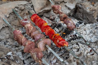 Sulu çiğ kebap, şişte domuz eti, ızgarada pişmiş çiğ et şişleri.