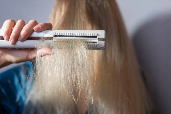 dry ends of hair held in hand by a blonde with a curling iron. Hair health, dry hair damaged by over leveling. Portrait of blond girl checking hair ends