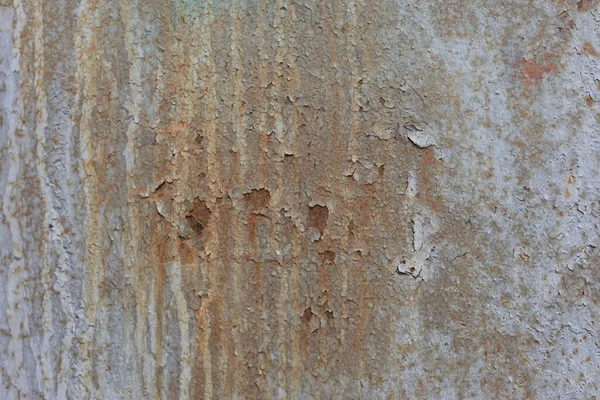 墙面上的旧裂缝涂料 裂缝白色涂料生锈的质感 — 图库照片