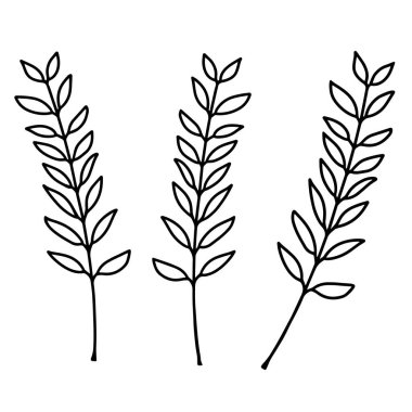 Beyaz arka planda yaprakları olan üç güzel ince dal. Dal parçalarının siyah ve beyaz vektör çizimi. Tasarımınız için ayrı nesneler.