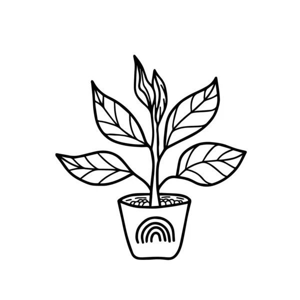 Söt Planta Blomkruka Med Regnbåge Vektor Illustration Klotter Stil Hem — Stock vektor