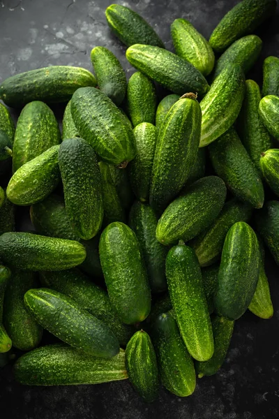 Vers geplukt biologische komkommer oogst. achtergrond, textuur. — Stockfoto