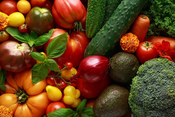 Organiczny pole roślinnego z dużych, pomidory, bazylia, ogórki, czerwona cebula, brokuły i awokado. — Zdjęcie stockowe