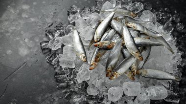 Taze çiğ hamsi, buz üstünde organik balık