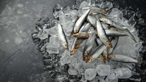 Taze çiğ hamsi, buz üstünde organik balık