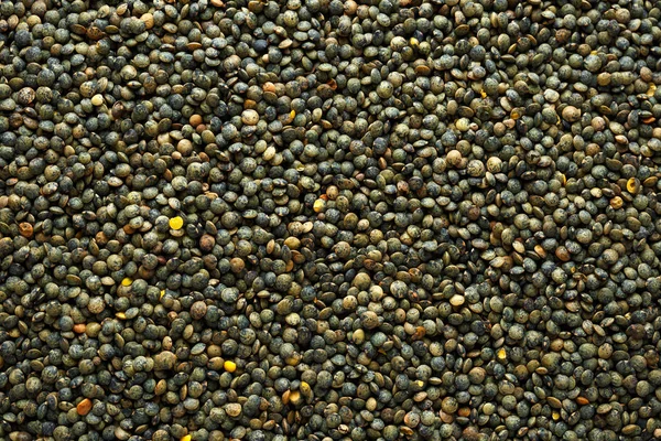 Органическая чечевица сухие семена крупным планом, здоровое питание супер диеты — стоковое фото