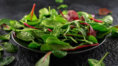 Siyah bir tabak içinde rucola, ıspanak, radicchio ve kuzu marul salata karışımı. sağlıklı yeşil yiyecek