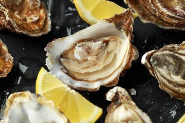 Limon ve buz taze istiridye tabağı