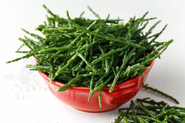 Kırmızı kase taze yeşil ham samphire