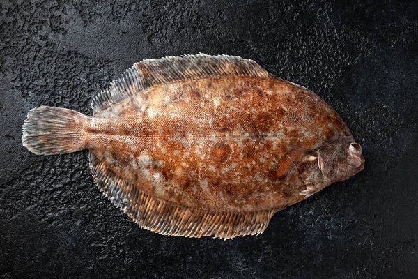 Raw lemon sole fish on black background, top view