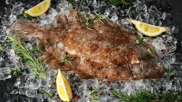 Råa bergtunga fisk på isen med örter och citron kilar — Stockfoto