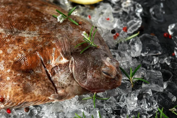 Råa bergtunga fisk på isen med örter och citron kilar — Stockfoto