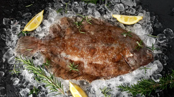 Råa bergtunga fisk på isen med örter och citron kilar — Stockfoto