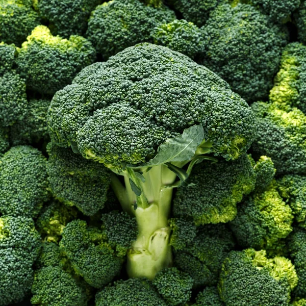 Gezonde verse groene rauwe broccoli. achtergrond, textuur. — Stockfoto