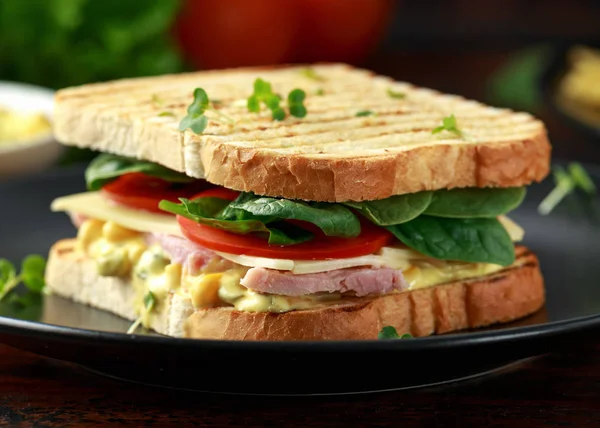 Sandwich with ham, cheese, tomatoes, spinach, corn, mayonnaise, mustard, gherkins, toasted bread and potato chips.