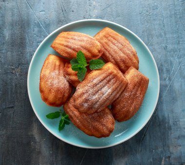 Madeleine Fransız küçük pasta, mavi plaka üzerinde kurabiye kabuk