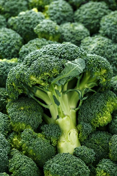 Gezonde verse groene rauwe broccoli. achtergrond, textuur. — Stockfoto