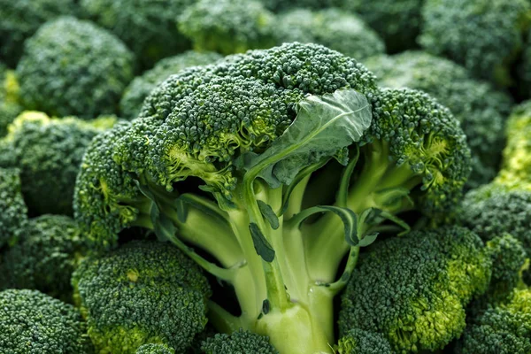 Gezonde verse groene rauwe broccoli. achtergrond, textuur. — Stockfoto