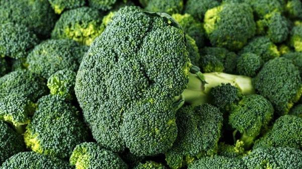 Egészséges friss zöld nyers brokkoli. háttér, textúra. — Stock Fotó