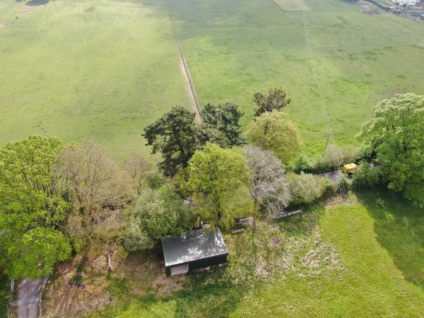 Vista aerea di stalle in un campo in piccolo gruppo di alberi in primavera — Foto Stock