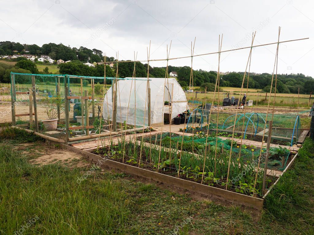 a neat allotment in the Spring showing early vegetable growing