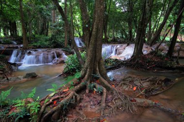 manzara fotoğraf, yeşil ormandaki güzel şelale