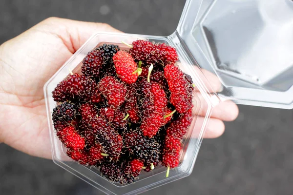 Pile Mûrier Fruits Dans Une Boîte Plastique — Photo