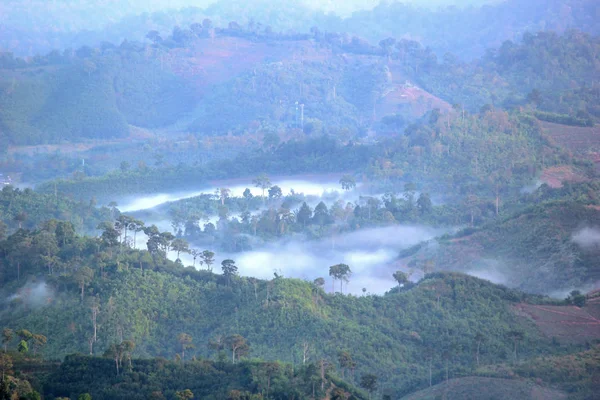 Niebla marina en las colinas de montaña — Foto de Stock