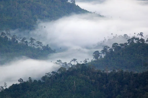 Sea mist op de heuvels van de berg — Stockfoto