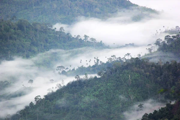 Sea mist op de heuvels van de berg — Stockfoto