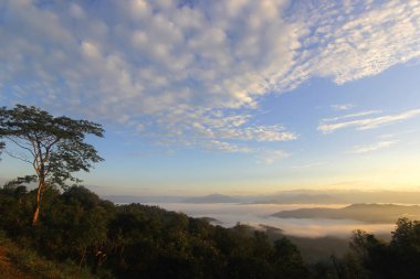 güzel gökyüzü arka plan ile tepelerde deniz sis