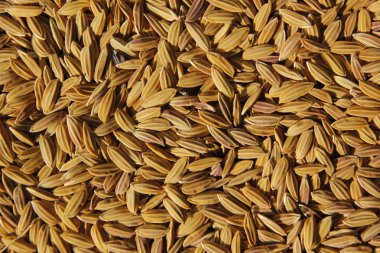 arka plan olarak beyaz pirinç pişmemiş