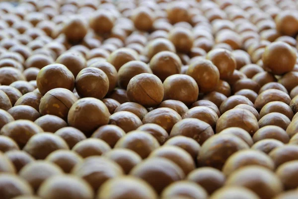 Mucchio di sfondo noci macadamia — Foto Stock