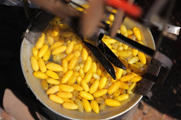 Capullos de gusano de seda amarillo en maceta, el proceso de fabricación de seda —  Fotos de Stock