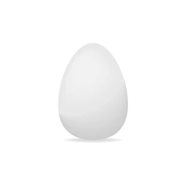 Vector White Single Realistic Animal Egg Chicken Egg Isolated Soft — Stock Vector